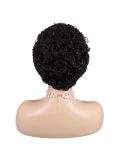 New Style 4*4 Closure Lace Wig Short Curly 100% Human Hair Natural Look