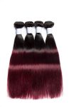 #1B/99J Straight  Human Hair Bundles