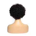 Frontal Lace 13*1 Short  Curly Human Hair