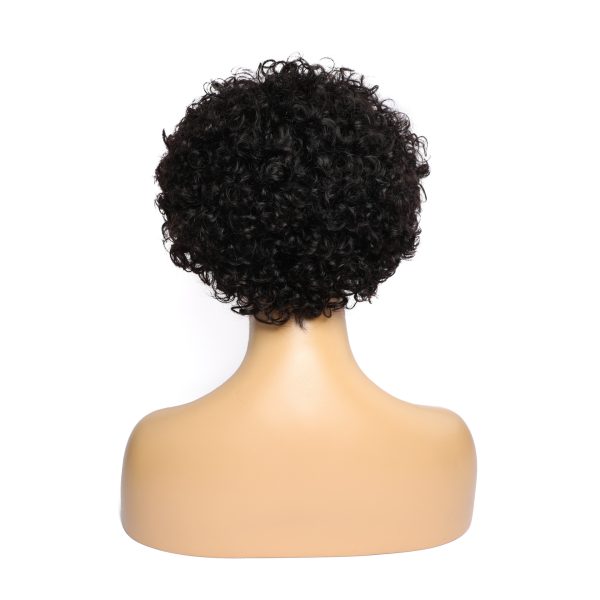 Frontal Lace 13*1 Short  Curly Human Hair