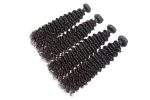 Curly Wave Human Hair Bundles